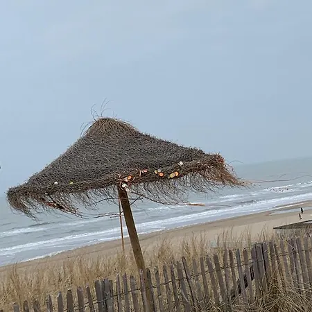 Appartement 't Zomerhuis Zandvoort