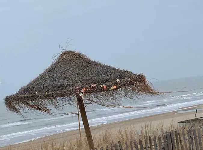 Διαμέρισμα 't Zomerhuis Zandvoort