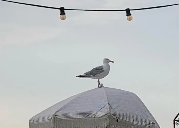 't Zomerhuis Zandvoort