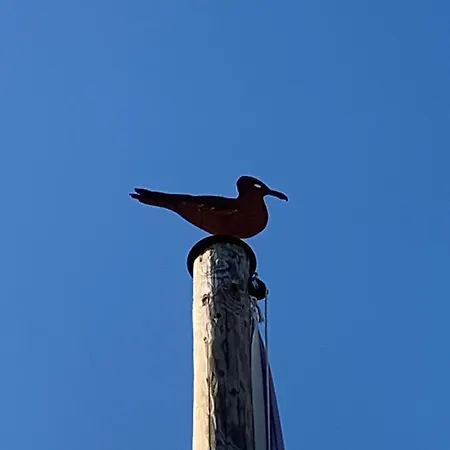 Apartment 't Zomerhuis Zandvoort