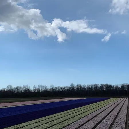 't Zomerhuis Apartment *