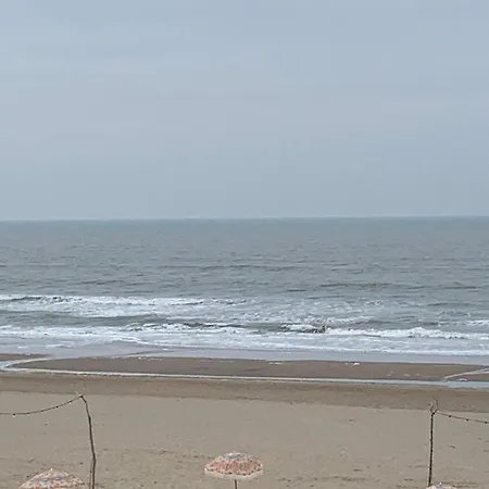 't Zomerhuis Zandvoort