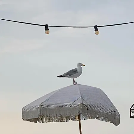 't Zomerhuis Zandvoort