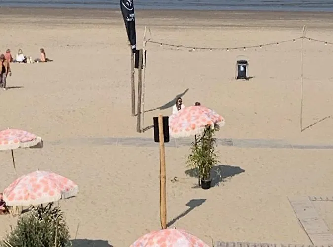 Apartmán 't Zomerhuis *