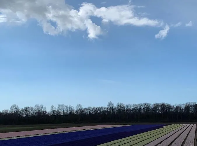 't Zomerhuis Apartmán *