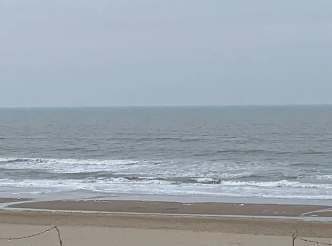 't Zomerhuis Zandvoort